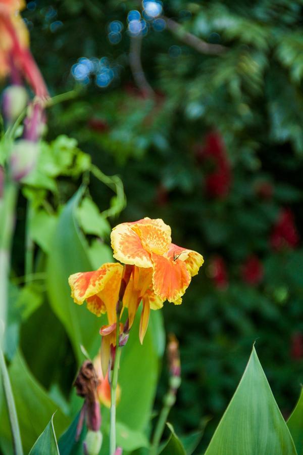 Quinta Mi Tata B&B Sardinal ภายนอก รูปภาพ
