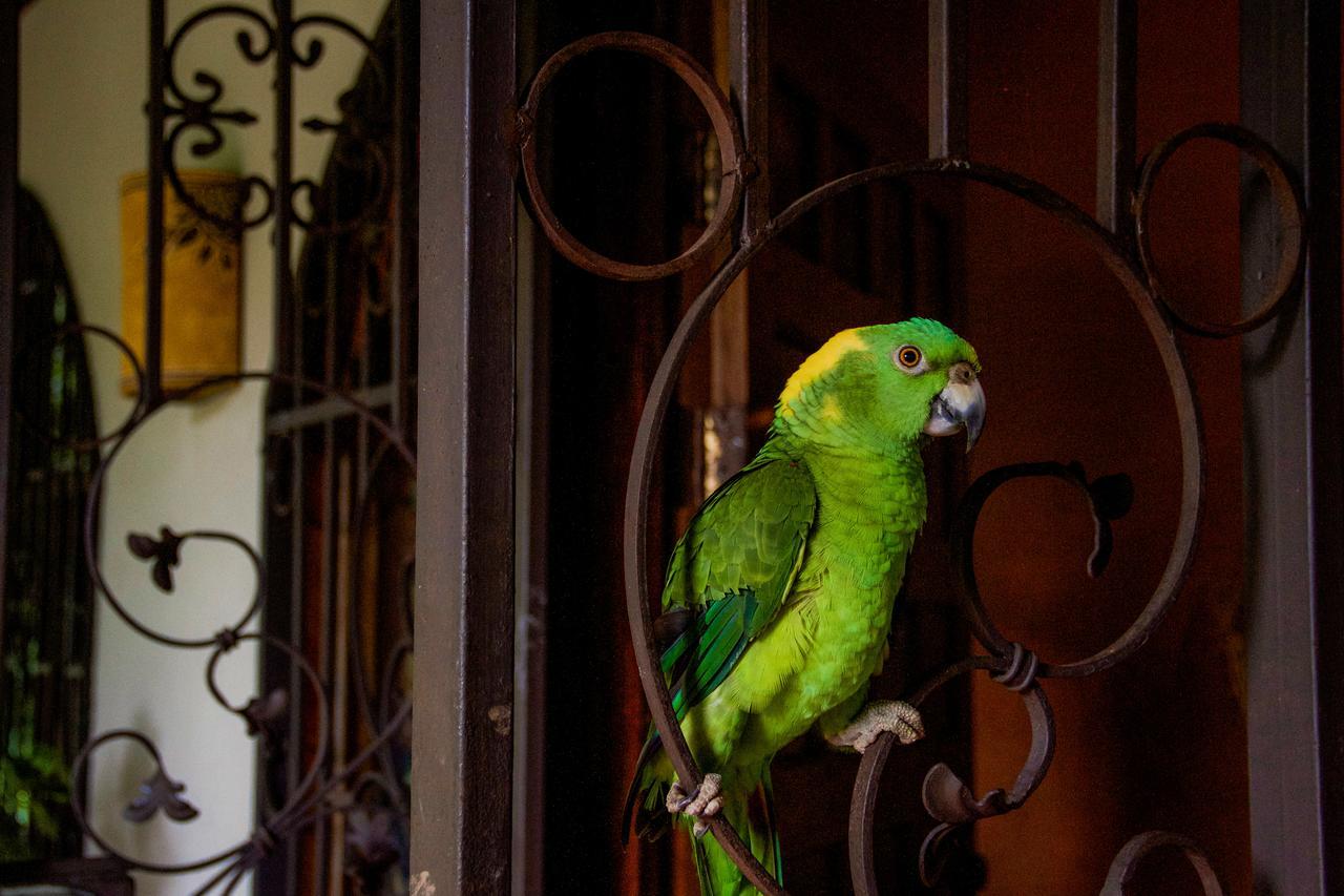 Quinta Mi Tata B&B Sardinal ภายนอก รูปภาพ